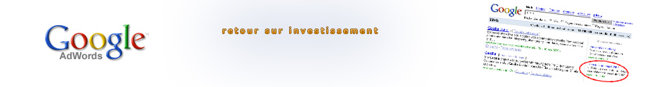 Gestion AdWords Professionnel