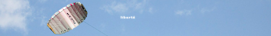 Publicit� sur Internet