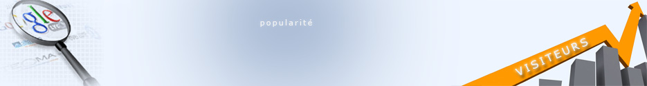 R�f�rencement sur Google de site internet professionnel
