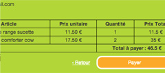 Récapitulatif avant paiement